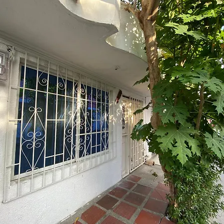 Casa Mi Valle Loft